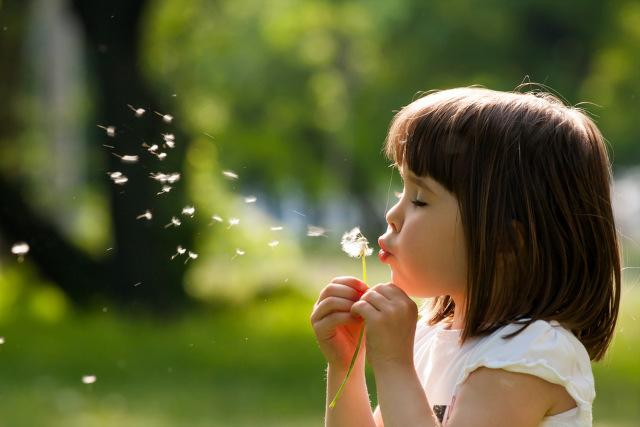 A girl blowing a dandelion